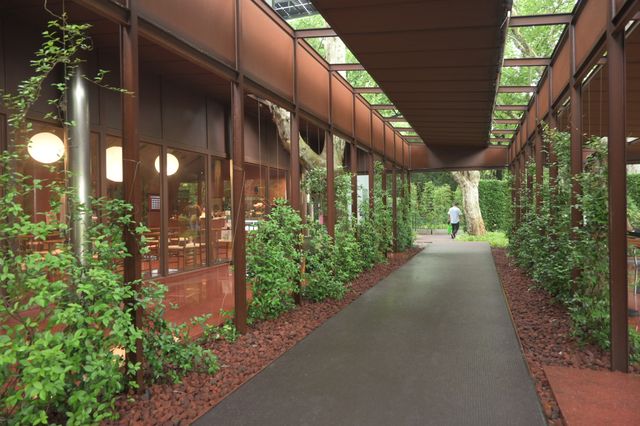 上海の魯迅公園の中にある現代和モダンの落ち着いたカフェでのんびりと