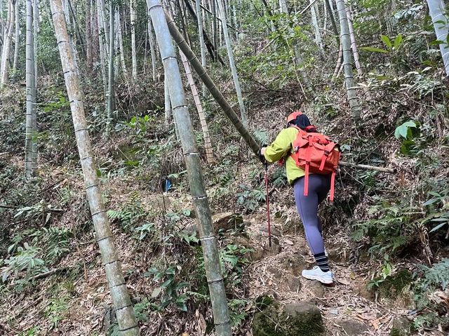 雞枕山：花崗岩森林嘅階梯呼吸術