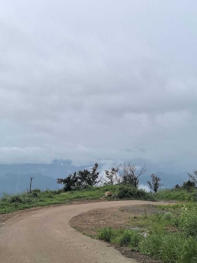 繼承「王位」，雨後初晴時，雲海翻騰