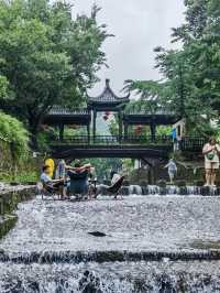 龍山，本地人想「私藏」打卡地。