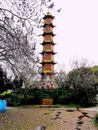 The Whispering Walls: Yuelu Academy's Millennia of Wisdom