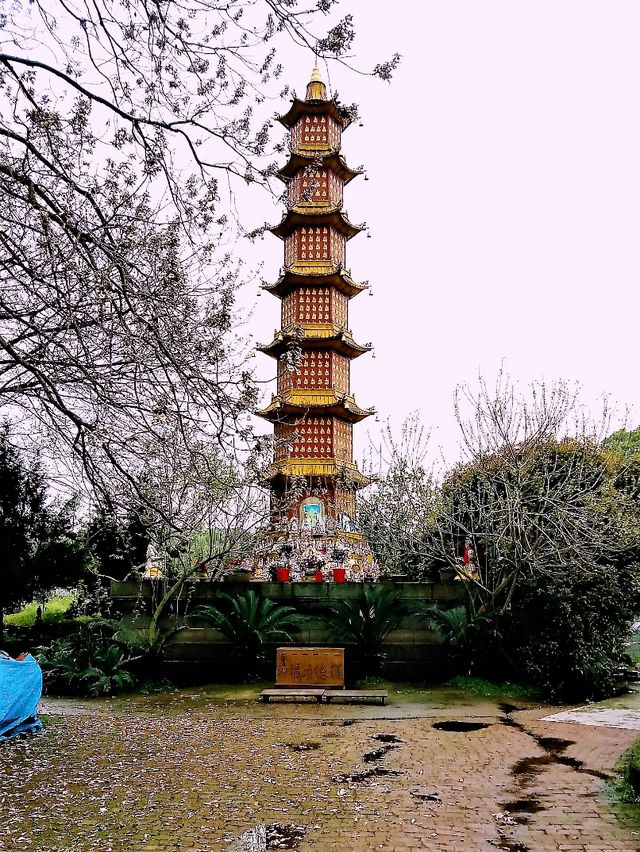 The Whispering Walls: Yuelu Academy's Millennia of Wisdom