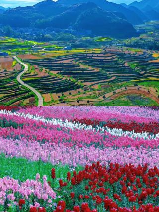 Cross the China-Vietnam border and embark on a romantic journey of waterfalls and landscapes! — Daxin