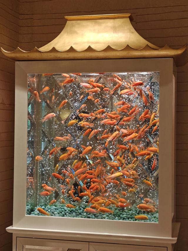 🇲🇴澳門紙醉金迷一日速通！特種兵實測24小時暴走攻略 