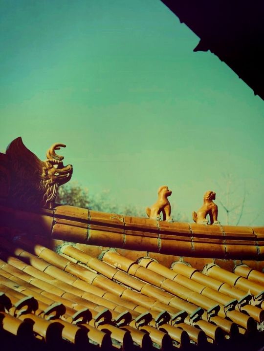 **【南京方山定林寺：千年古剎的禪意時光】**  