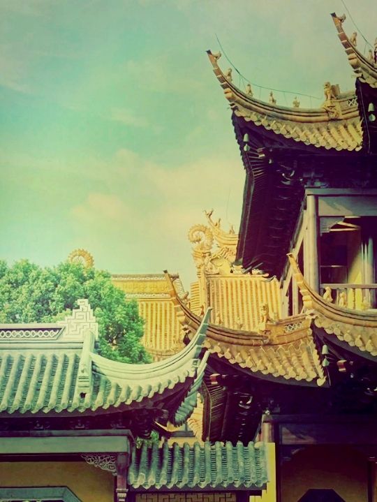 **【江南禪意：吳江圓通寺的靜心之旅】**  