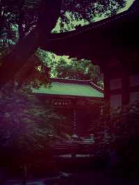 【尋幽探祕：五雲山真跡寺的禪意與金黃詩篇】