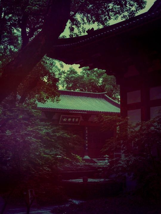 【尋幽探祕：五雲山真跡寺的禪意與金黃詩篇】