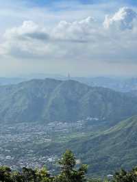 ⛰️香港一日行山天花板！大帽山+麥理浩徑8段神仙路線攻略！