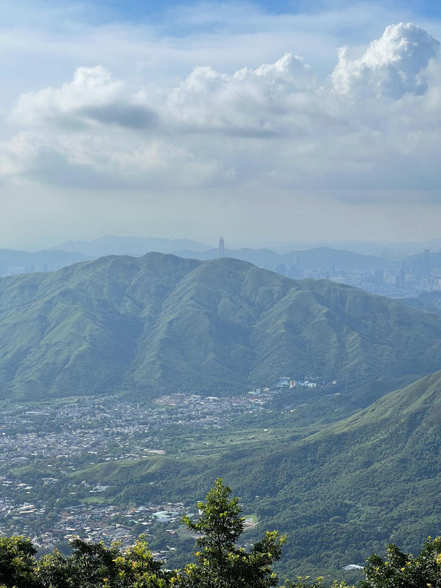 ⛰️香港一日行山天花板！大帽山+麥理浩徑8段神仙路線攻略！