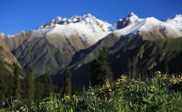 夏塔旅遊攻略 | 赴一場雪山之約