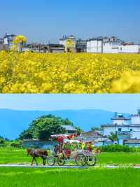 去雲南，畀全家一段難忘嘅旅程