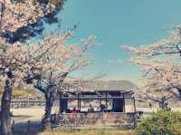 **【大阪隱世秘境！嵐山慢活一日體驗全紀錄】**  