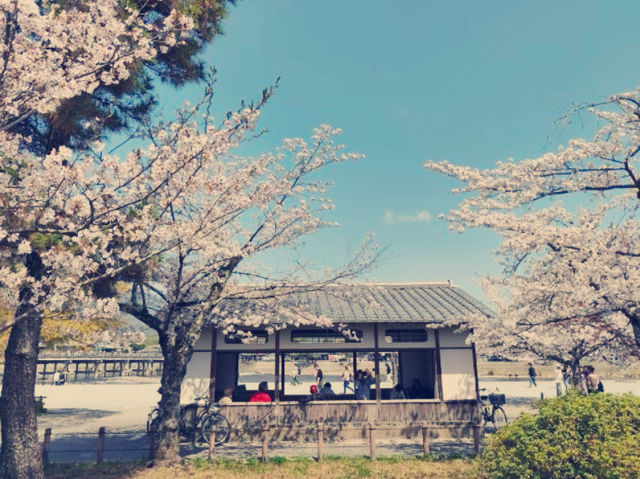**【大阪隱世秘境！嵐山慢活一日體驗全紀錄】**  