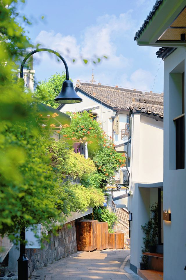杭州吳山景區：城中山景與市井風情遊玩指南