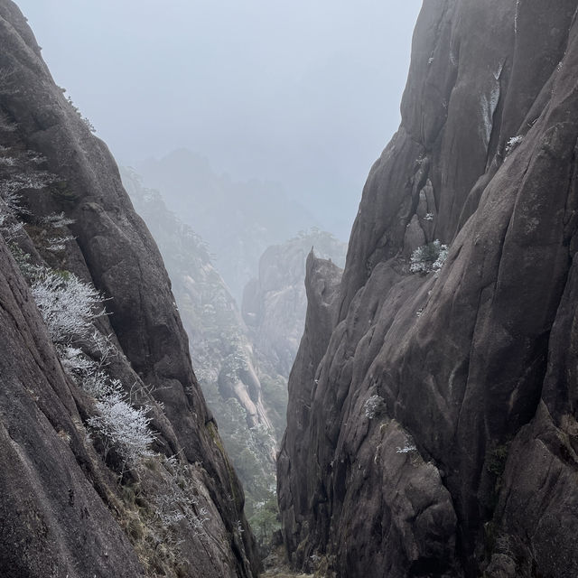 【世界遺産 黄山🏔️】山頂ホテルで1泊🏨黄山旅行