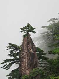 黃山「避雨」實錄：暴雨預警下的驚喜晴日與雲海奇觀