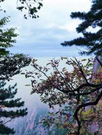 【黃山頂級風景區，但係唔會再嚟！附避坑指南】