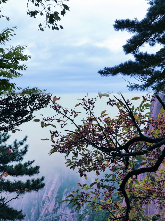 【黃山頂級風景區，但係唔會再嚟！附避坑指南】