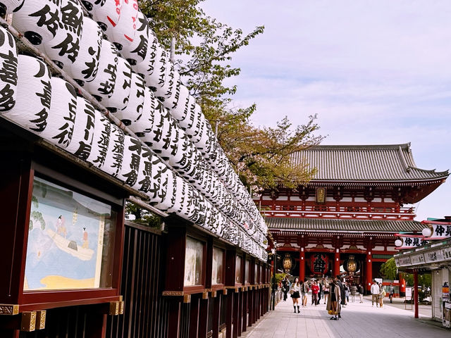 東京淺草寺｜穿越千年的江戶風情，尋覓東瀛最靈驗的祈福聖地】**  