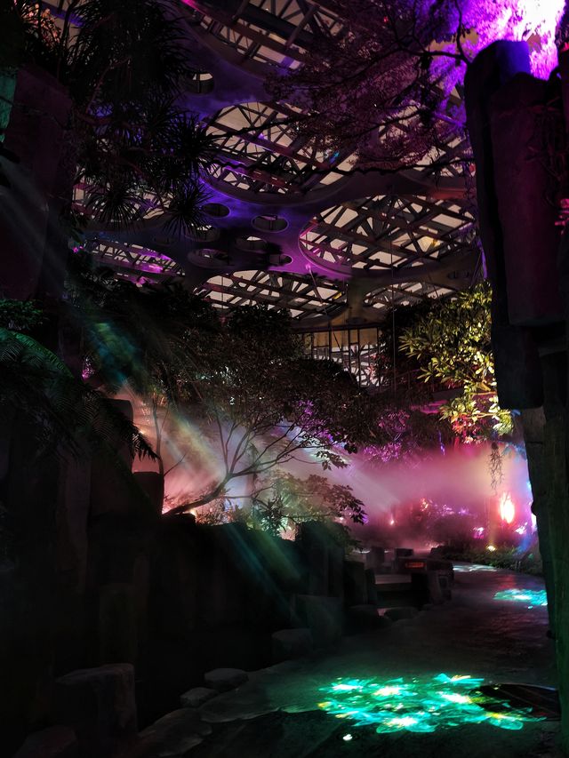 勇闖上海溫室花園夜遊，像阿凡達一樣在雨林探險