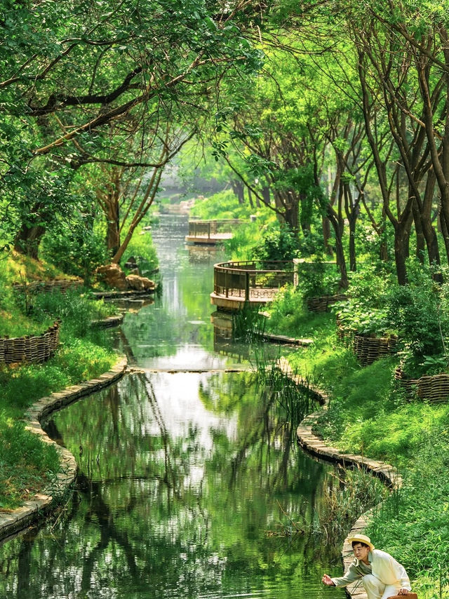 喺北京一個唔小心跌入初夏嘅綠野仙蹤