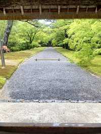 Kyoto’s Charm: Where Culture, Nature, and History Collide
