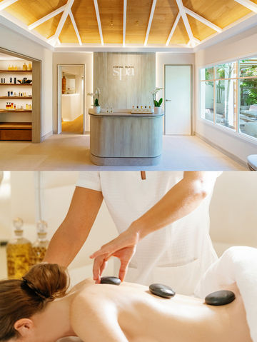 在白馬莊園，截取一片盛夏