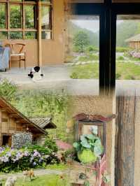 這間童話小屋太絕了！帶上狗狗來曾家山避暑吧～
