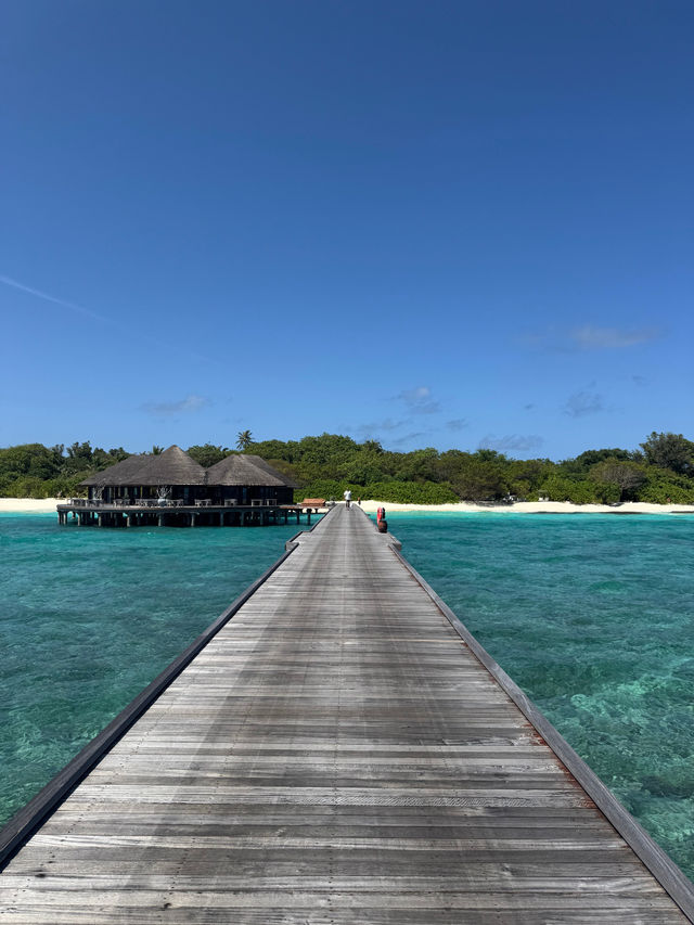 Our Dream Honeymoon at JA Manafaru