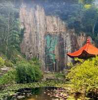 莫干山攻略|住進山林裡,承包夏天的清涼!