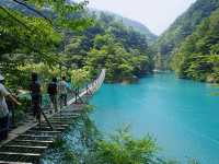 大井川鐵道｜靜岡小眾深度遊攻略
