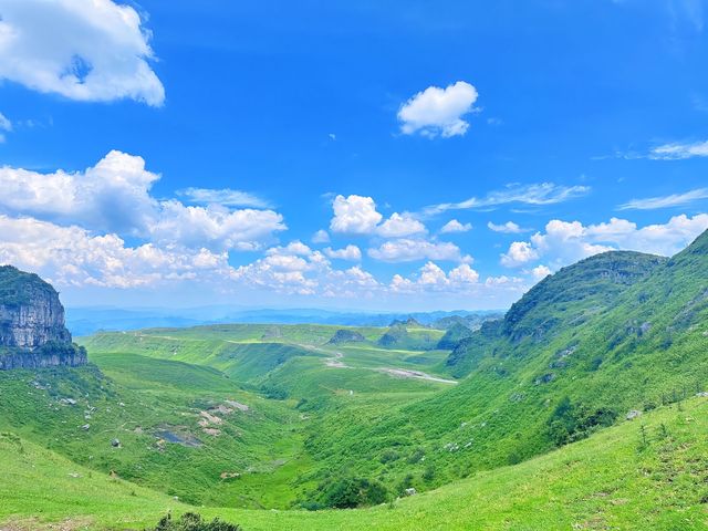 韭菜坪花海封神攻略