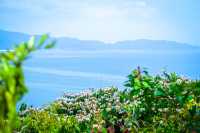 去深圳旅行｜適合帶小朋友的超chill玩法