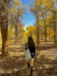 899玩轉西北！秋天的青甘才是此生必玩