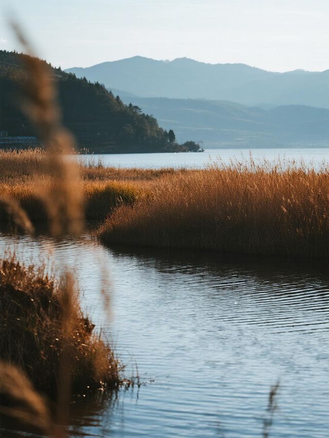 貴州草海，親子的歡樂天堂