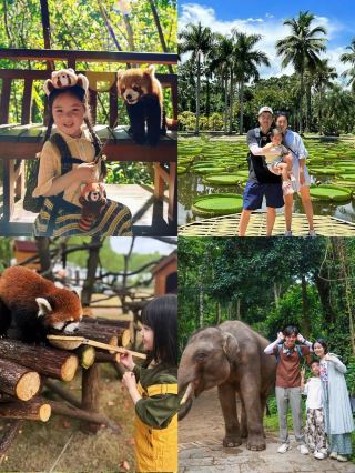 This National Day, I’m only taking the kids to one place: Xishuangbanna