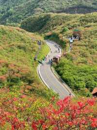 大圍山2天避暑攻略