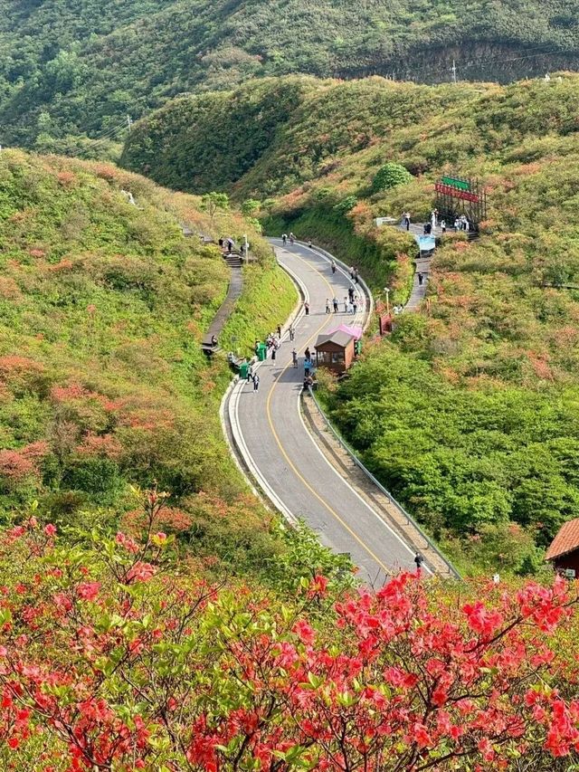 大圍山2天避暑攻略