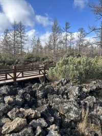 阿爾山火山奇觀！駝峰嶺天池+不凍河神仙CP，私藏內蒙天花板級秋色！ 此生必去！阿爾山國家森林公