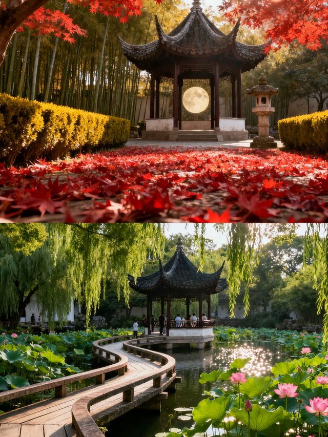 蘇州怡園｜最小眾的江南園林被我找到啦！避開人潮美到窒息