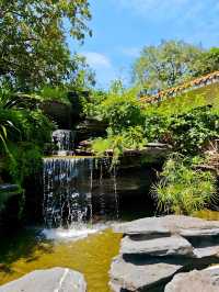 深圳荔枝公園必打卡指南