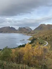 國慶假期的挪威塞尼亞島全是同胞