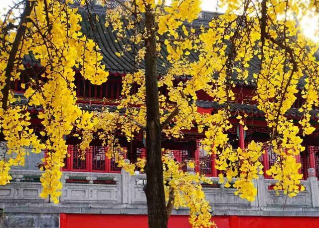 藏在鬧市的百年古寺，毗盧寺的寧靜與厚重，遠比想像中更動人