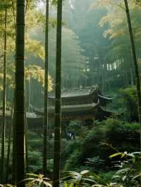 宜賓親子遊｜竹海一日超詳細時間表
