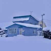 ❄️홋카이도의 겨울, 상상보다 따뜻한 눈꽃 낭만