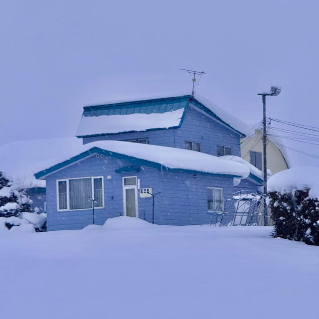 ❄️홋카이도의 겨울, 상상보다 따뜻한 눈꽃 낭만 ❄️홋카이도의 겨울, 상상보다 따뜻한 눈꽃 낭만