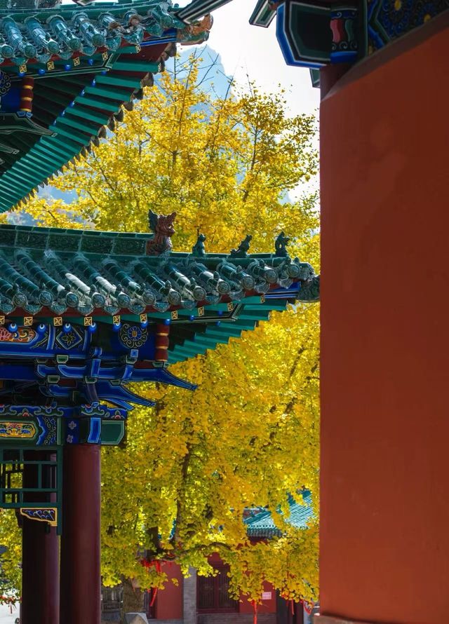 稷山酒店賓館是每位到稷山旅遊或出差的朋友都不容錯過的優質住宿 稷山酒店賓館是每位到稷山旅遊或出差的朋友都不容錯過的優質住宿