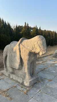 化明塘嚴氏墓丨封藏了600年的淒美愛情故事