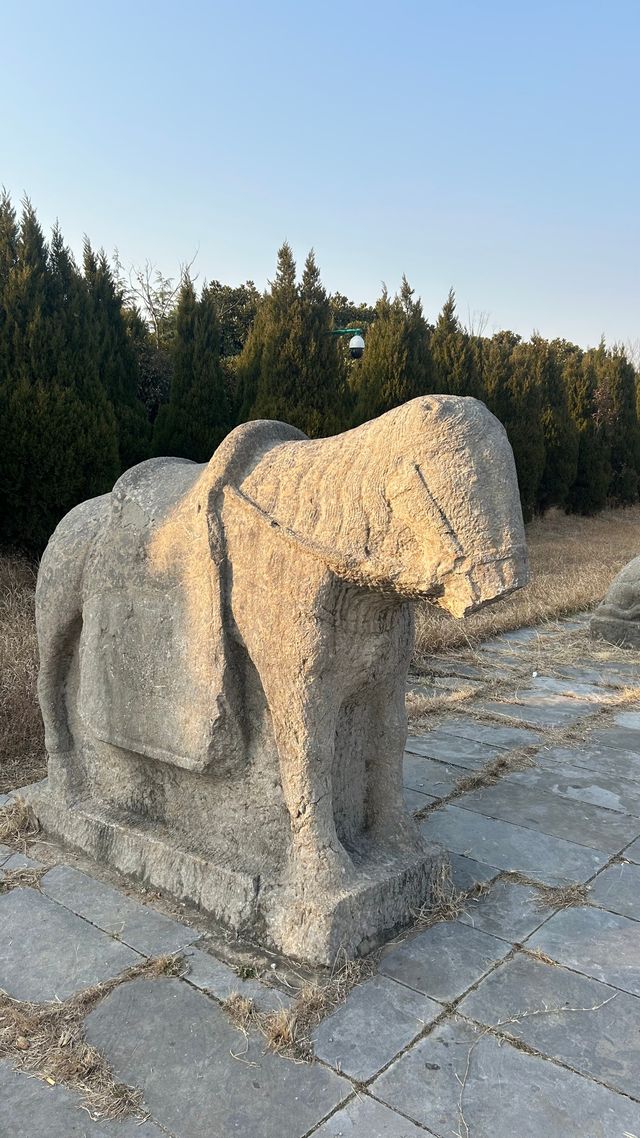 化明塘嚴氏墓丨封藏了600年的淒美愛情故事 化明塘嚴氏墓丨封藏了600年的淒美愛情故事